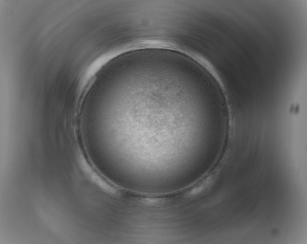 X0000110961381200906191302