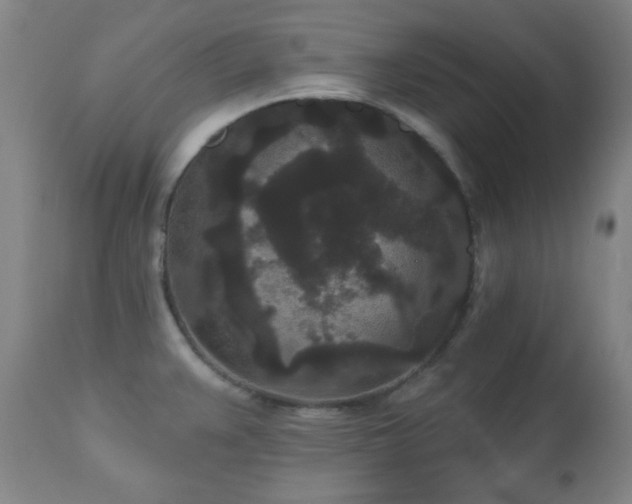 X0000110961383200906191302
