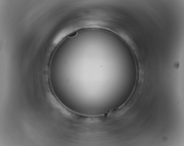 X0000110961384200906191302