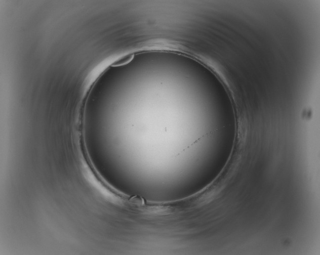 X0000110961387200906191302