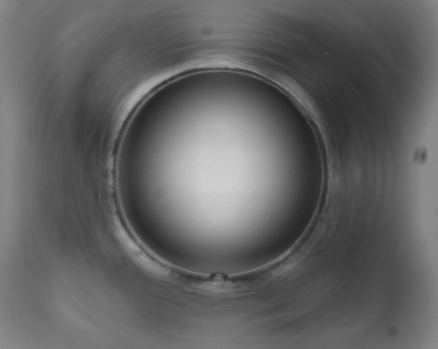 X0000110961388200906191302