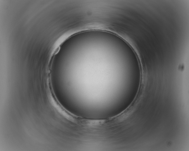 X0000110961389200906191302
