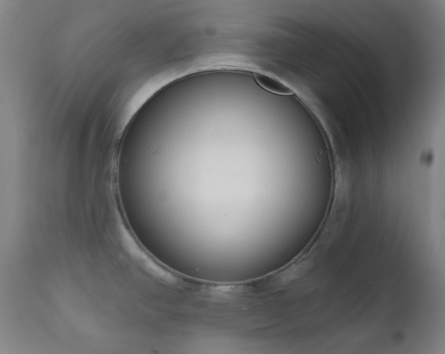 X0000110961390200906191302
