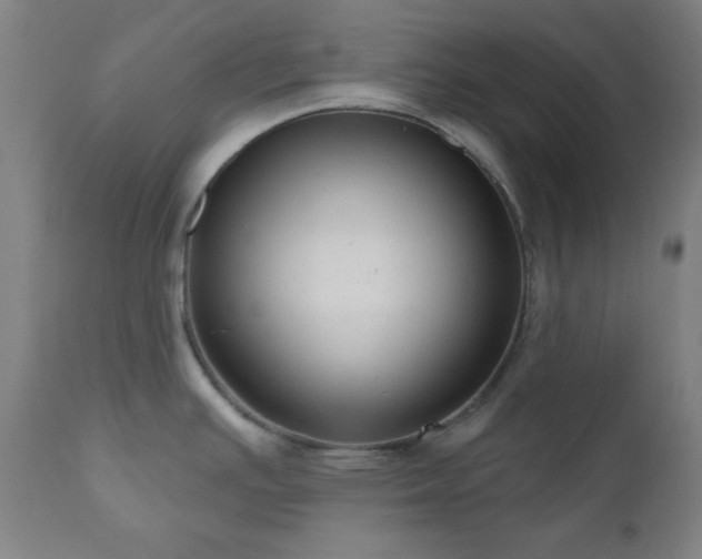 X0000110961391200906191302