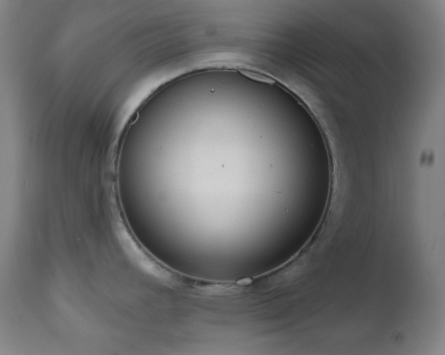 X0000110961392200906191302