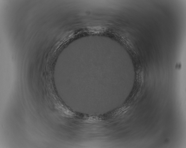 X0000110961393200906191301