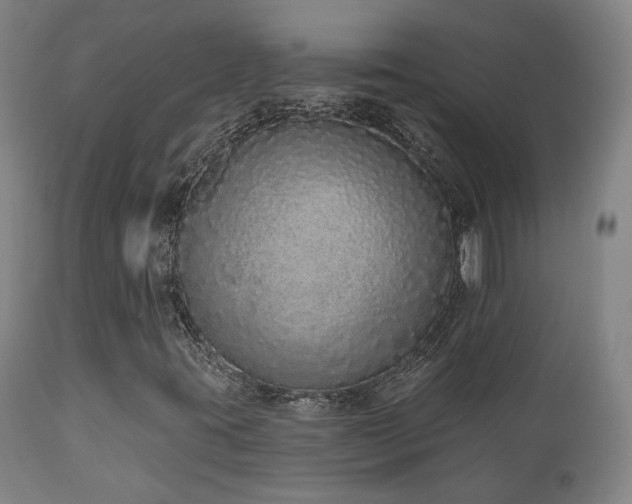 X0000110961395200906191301