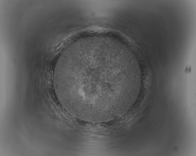 X0000110961397200906191301