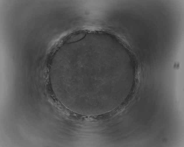 X0000110961398200906191301