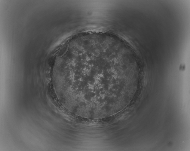 X0000110961399200906191301