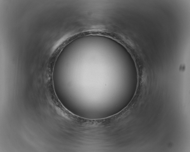 X0000110961400200906191301