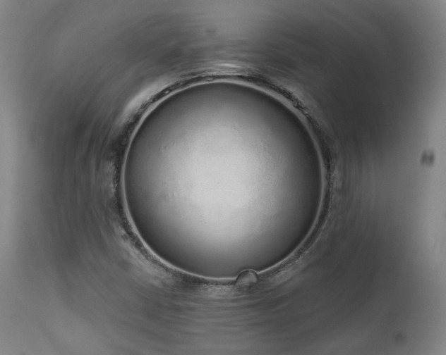 X0000110961402200906191301