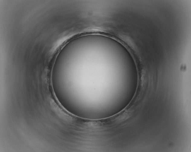 X0000110961404200906191301