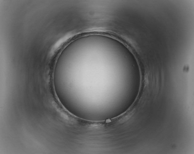 X0000110961406200906191301