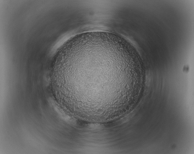 X0000110961407200906191301