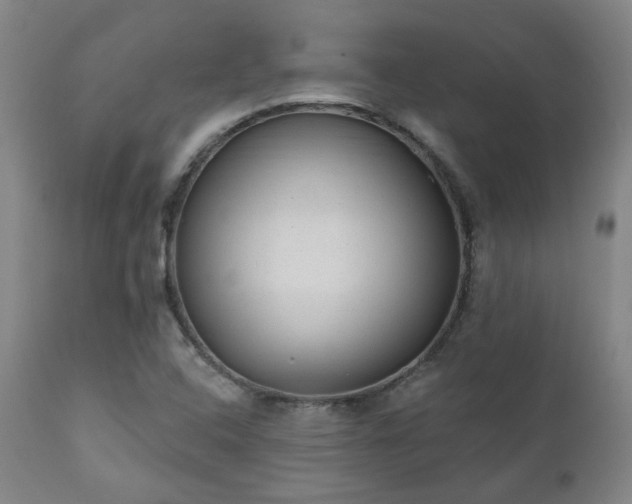 X0000110961408200906191301