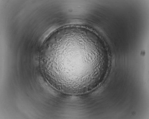 X0000110961409200906191301