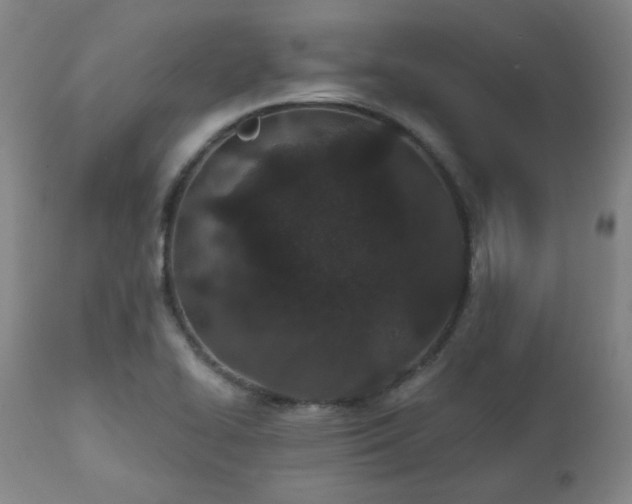 X0000110961414200906191301