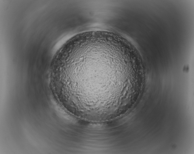 X0000110961415200906191301
