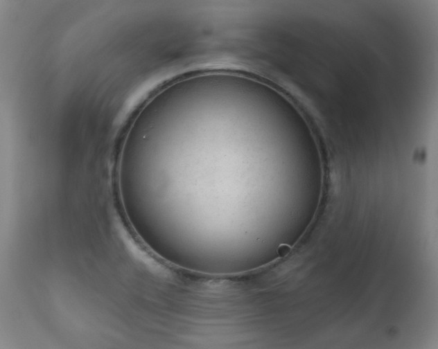 X0000110961416200906191301
