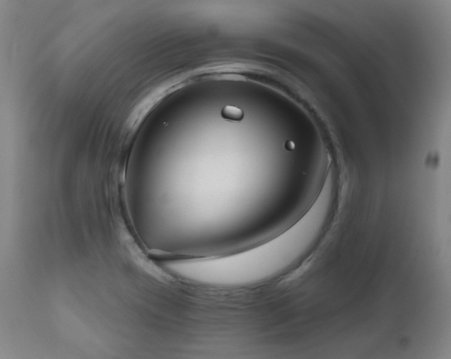 X0000110961417200906191301