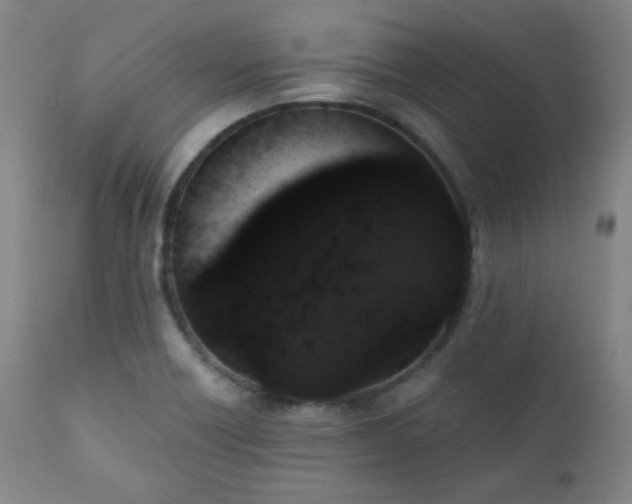 X0000110961418200906191301
