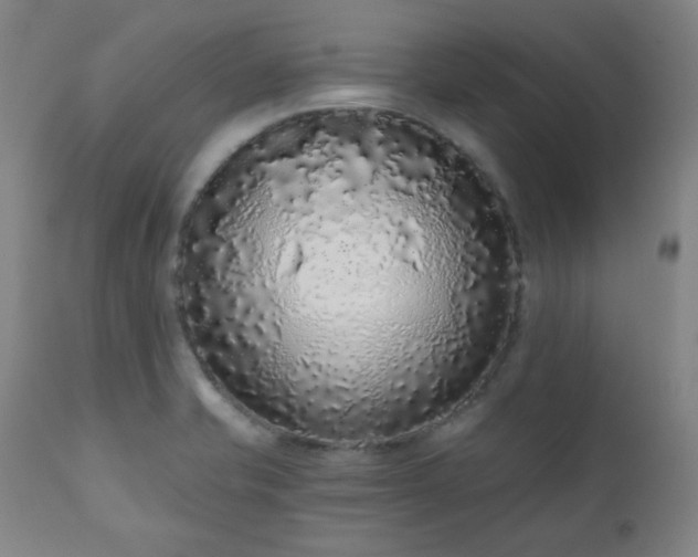 X0000110961421200906191301