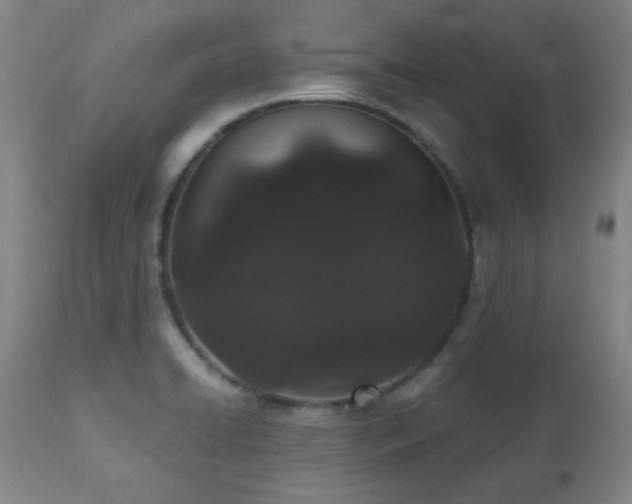 X0000110961422200906191301