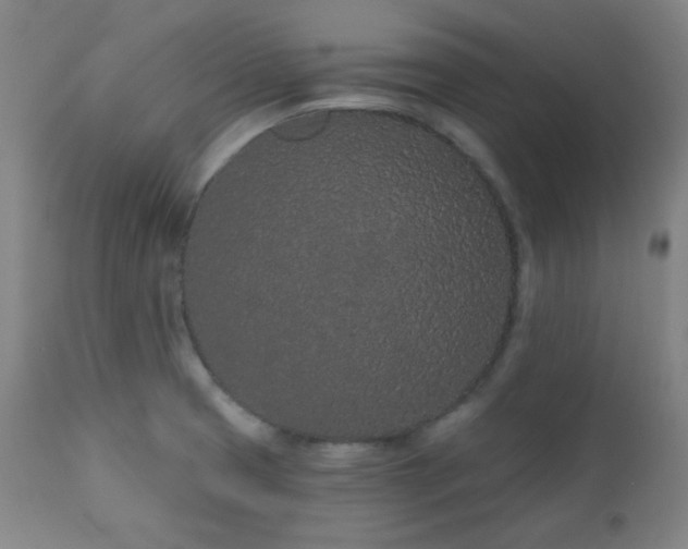 X0000110961425200906191301