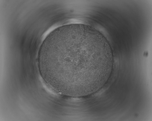 X0000110961427200906191301