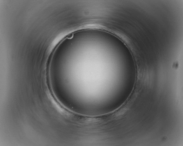 X0000110961430200906191301