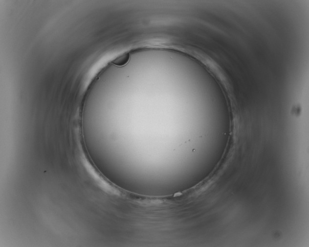 X0000110961432200906191301