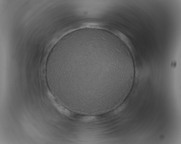 X0000110961435200906191301