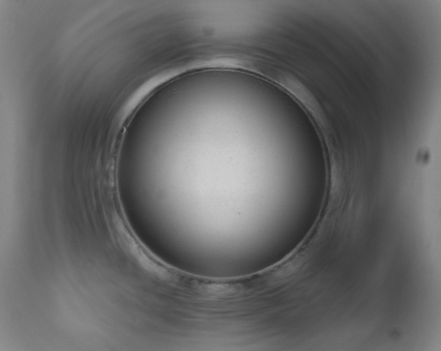 X0000110961436200906191301