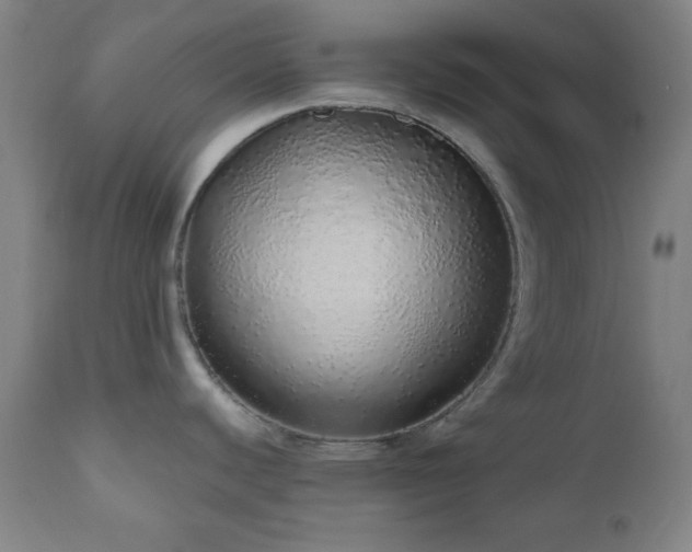X0000110961440200906191301