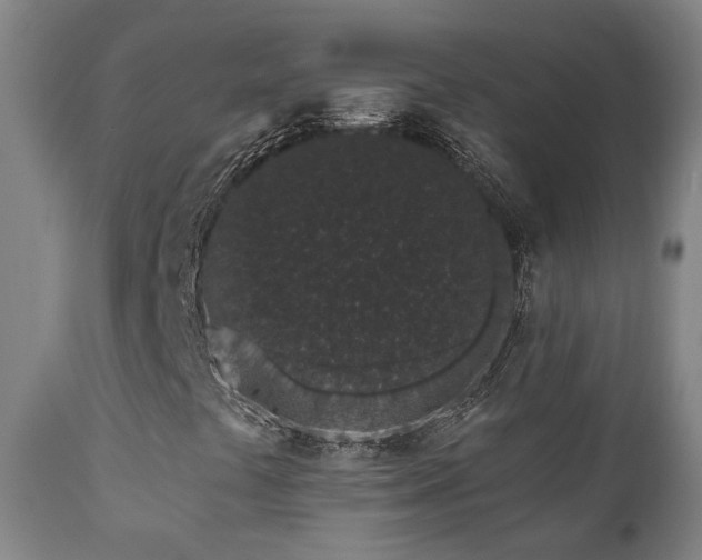 X0000110961441200906191301
