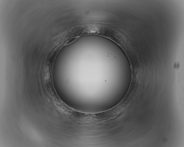 X0000110961442200906191301