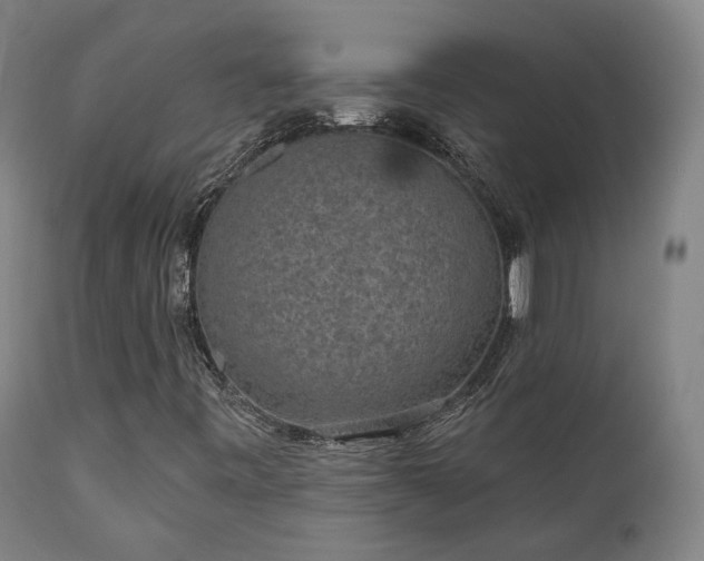X0000110961443200906191301