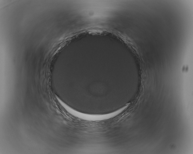 X0000110961445200906191300