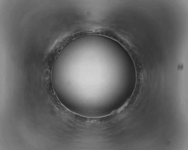 X0000110961447200906191300