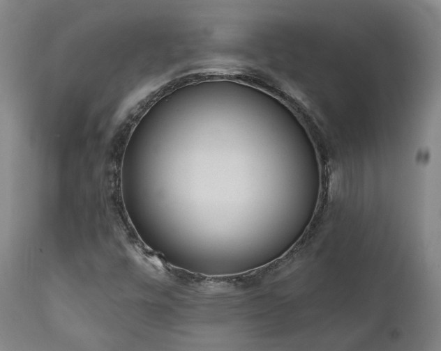 X0000110961448200906191300