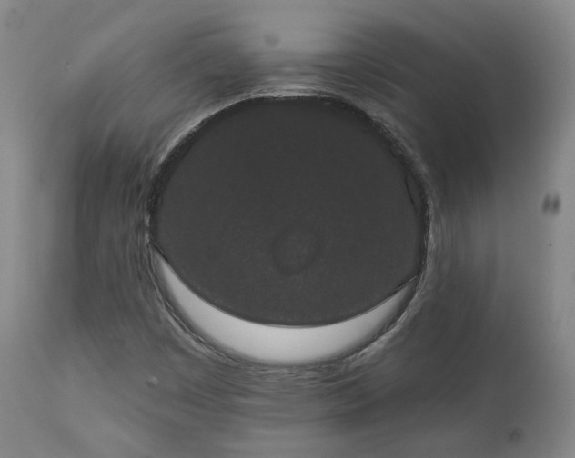X0000110961449200906191300