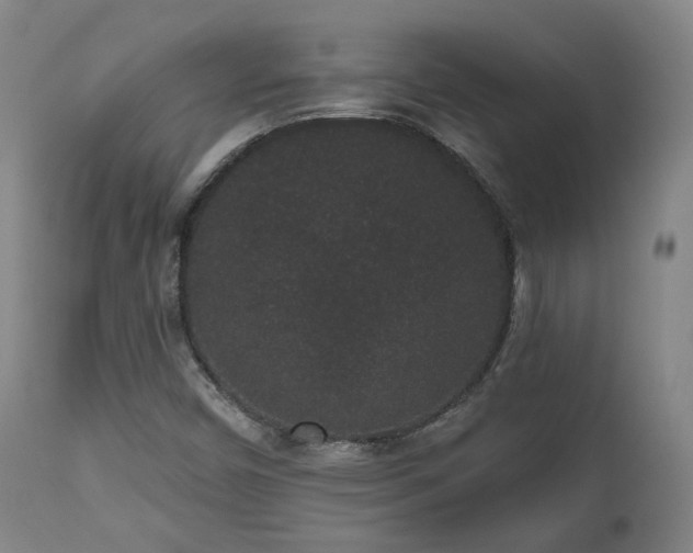 X0000110961450200906191300