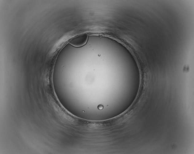 X0000110961451200906191300