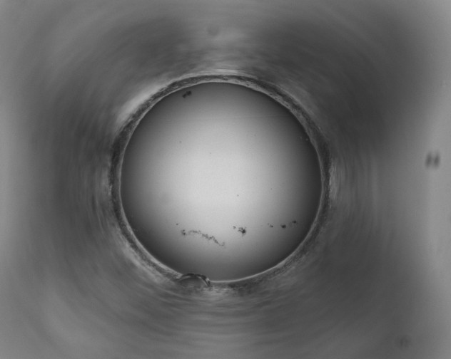 X0000110961452200906191300