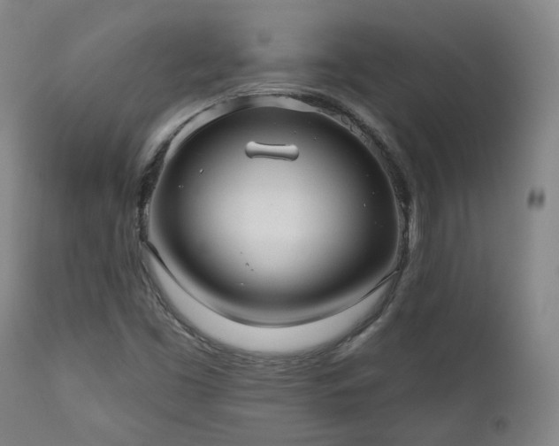 X0000110961453200906191300