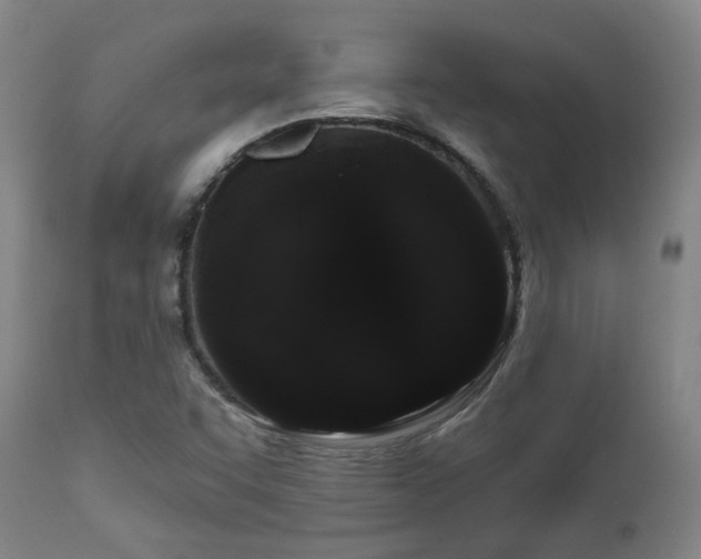 X0000110961455200906191300
