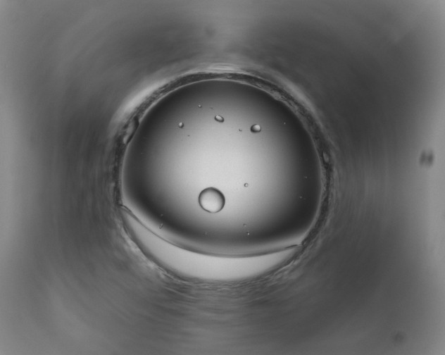 X0000110961456200906191300