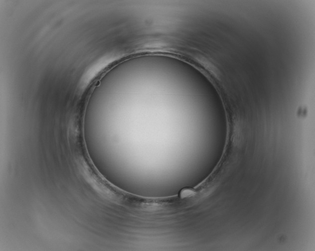 X0000110961458200906191300