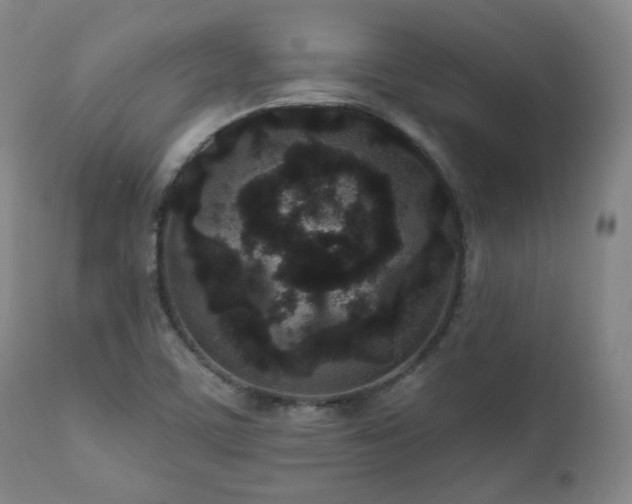 X0000110961459200906191300